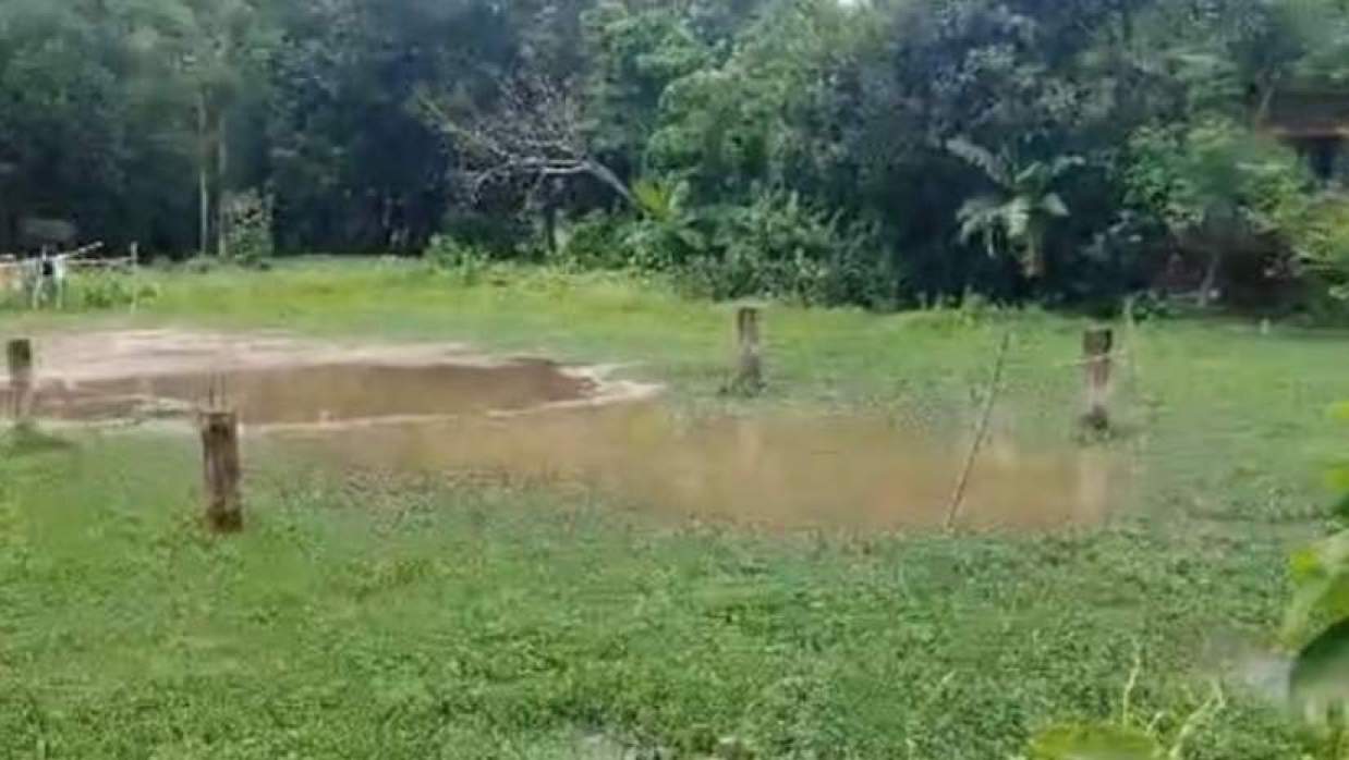 প্রতীকী ছবি