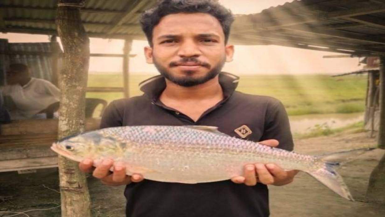 মাছ ব্যবসায়ী রাসেল ব্যাপারীর হাতে দুই কেজি ওজনের ‘রাজা ইলিশ’