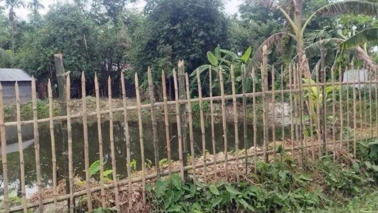 হত্যার অভিযোগ মায়ের বিরুদ্ধে