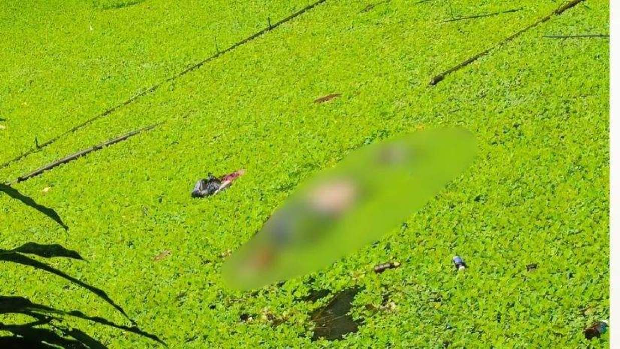 পুকুরে মিলল বৃদ্ধের মরদেহ