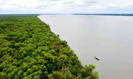 তিন মাসের জন্য বন্ধ সুন্দরবন, অনিশ্চয়তায় হাজারো বনজীবী