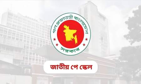 ‘পে স্কেল নিয়ে ভয় থেকেই যাচ্ছে, কারণ সরকার তো এখনও কিছু বলেনি’
