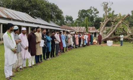 মাদ্রাসার ৭০ বছরের পুরোনো গাছ কাটার প্রতিবাদে মানববন্ধন