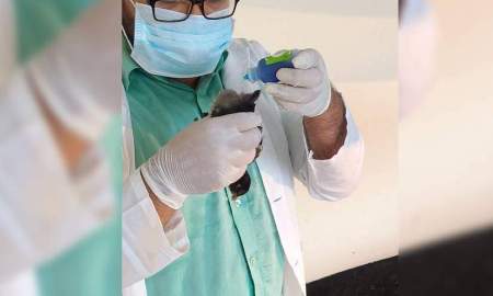 ক্লোয়াকায় টিকা প্রয়োগে ৫০% বেশি অ্যান্টিবডি উৎপাদনের সম্ভাবনা