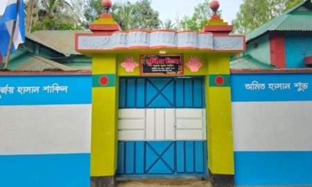 আর্জেন্টিনার পতাকার আদলে বাড়ি সাজিয়ে নজর কাড়লেন তিন ভাই