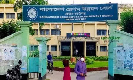 রেশম উন্নয়ন বোর্ডে বড় নিয়োগ বিজ্ঞপ্তি, পদ ১৬৭, আবেদন ২১ জুলাই পর্যন্ত