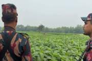 মেহেরপুর সীমান্তে ৬ জনকে পুশ ইনের চেষ্টা বিএসএফের, রুখে দিল…