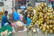 গরমে শরীর সতেজ রাখতে কদর বেড়েছে তাল শাঁসের 