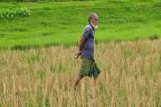অবশেষে পরিচয় মিলল শূন্যরেখায় থাকা সেই বৃদ্ধের