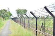 বিএসএফের গুলিতে বাংলাদেশি নিহত