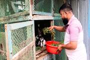 মেয়ের শখ পূরণ করতে কেনা ১টি খরগোশ থেকে শুরু, বাণিজ্যিক স্বপ…