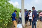 নিখোঁজ জামায়াত কর্মীর মরদেহ মিলল পাটক্ষেতে, বাঁধা ছিল হাত-পা