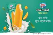 স্যাভয় নিয়ে এলো নতুন শেল এন্ড কোর রিয়েল ম্যাঙ্গো আইসক্রিম