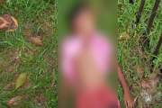 স্কুল ছুটি শেষে ফিরছিল বাড়ি, প্রাণ গেল পিকআপের ধাক্কায়
