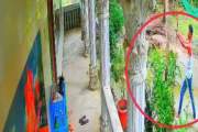 যুবদল নেতার বাড়িতে গুলি চালালেন আপন ছোট ভাই