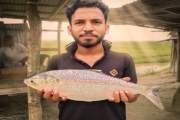 জেলের জালে ধরা পড়ল ২ কেজির ‘রাজা ইলিশ’, ১০ হাজারে বিক্রি