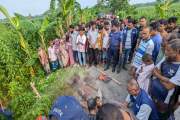 হত্যার পর হাত-পা কাটা মরদেহ সড়কে ফেলে গেল দুর্বৃত্তরা