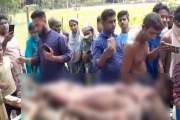 সীমান্তে বন্যহাতির পায়ে পিষ্ট হয়ে বৃদ্ধের মৃত্যু
