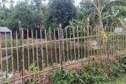 ৮ মাসের শিশুকে হত্যার অভিযোগ মায়ের বিরুদ্ধে