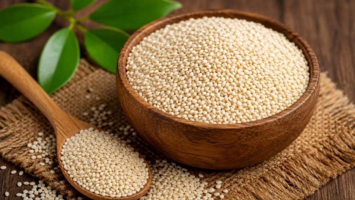 সাদা তিল বা হোয়াইট সেসামি