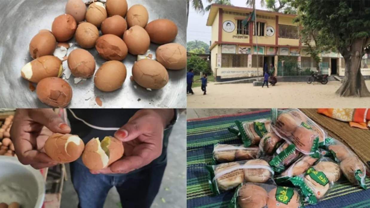 স্কুল ফিডিংয়ে পচা ডিম শনাক্ত