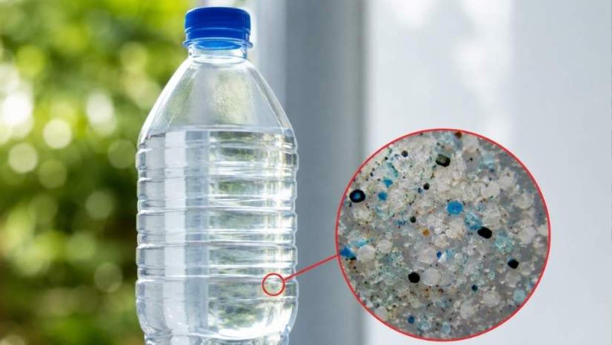  প্লাস্টিকের বোতলের লুকানো স্বাস্থ্যঝুঁকি