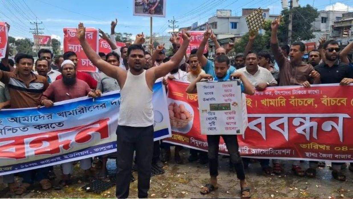 ডিম ভেঙে খামারিদের বিক্ষোভ