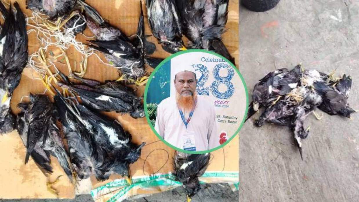 হত্যাকাণ্ডের শিকার বন্য পাখি (ইনসেটে অভিযুক্ত জামাল হাওলাদার)