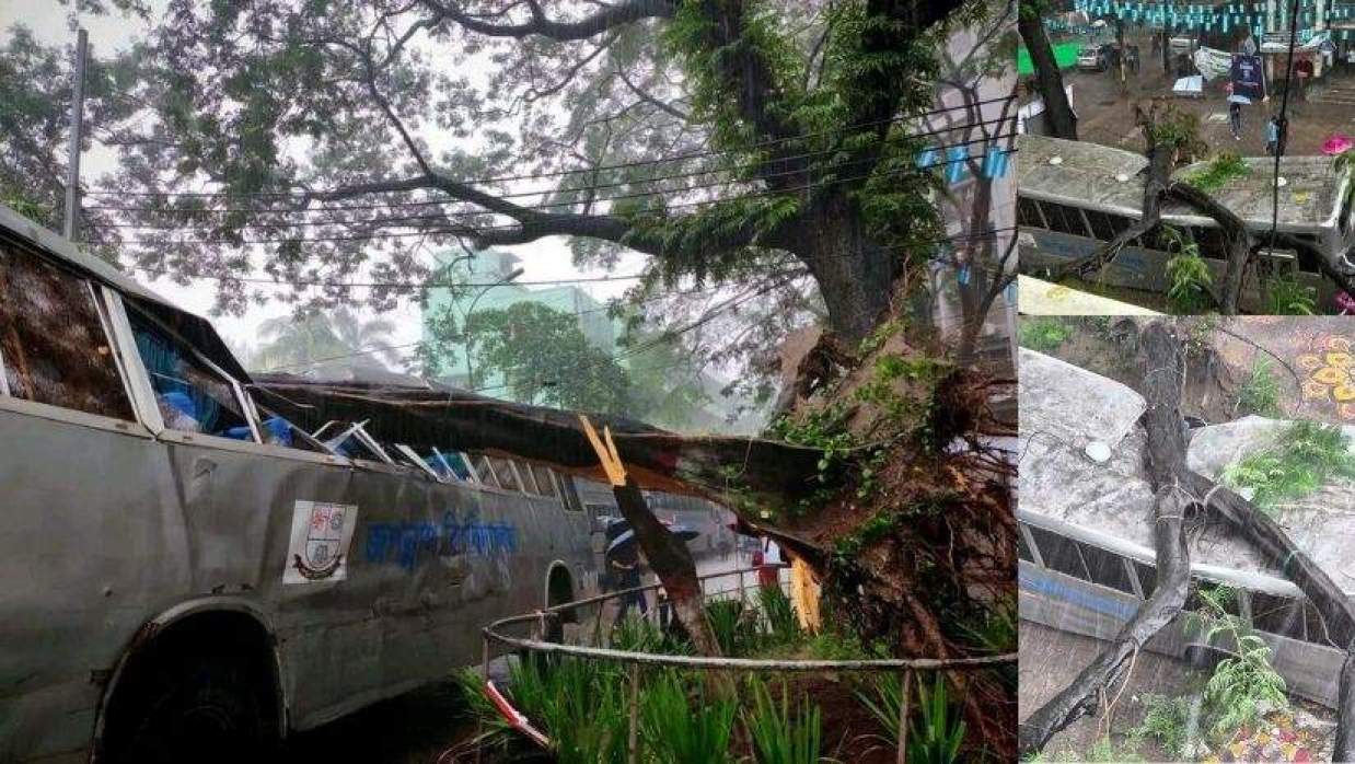 গাছ ভেঙে পড়ে দুমড়ে-মুচড়ে যাওয়া জবির বাস