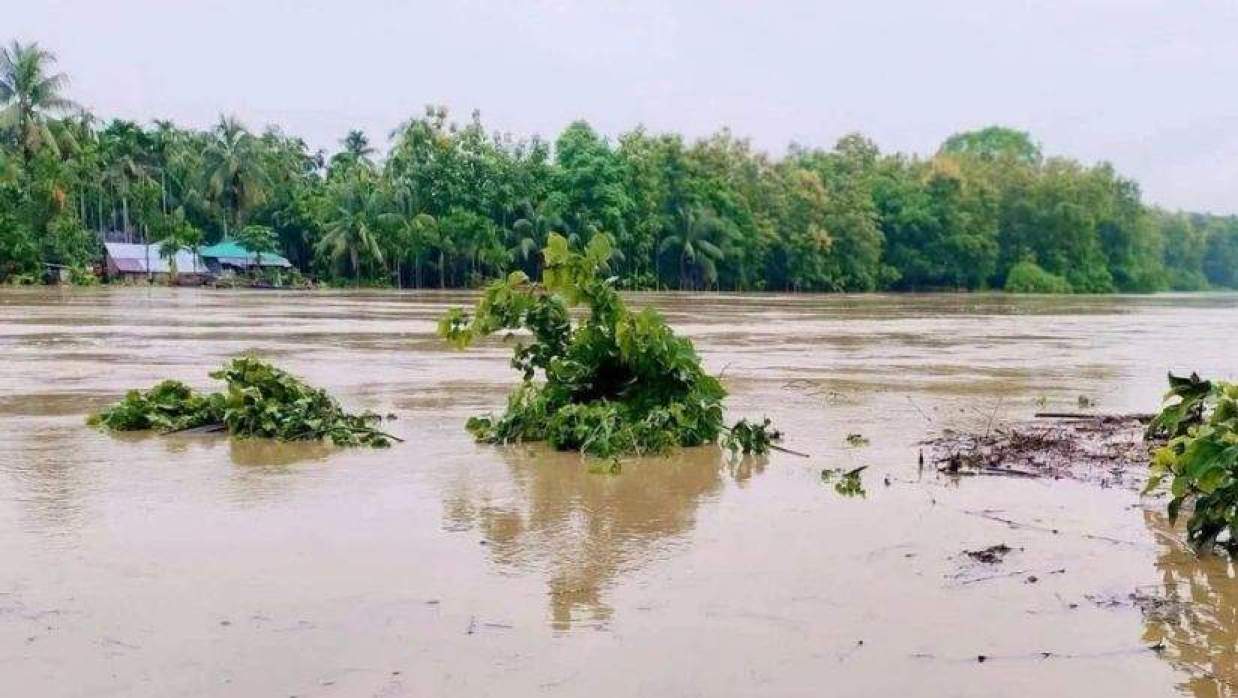  বন্যা