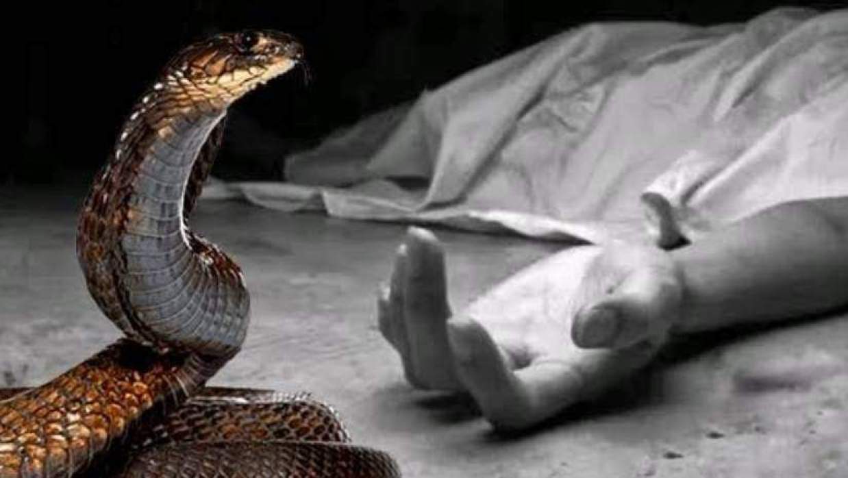 প্রতীকী ছবি
