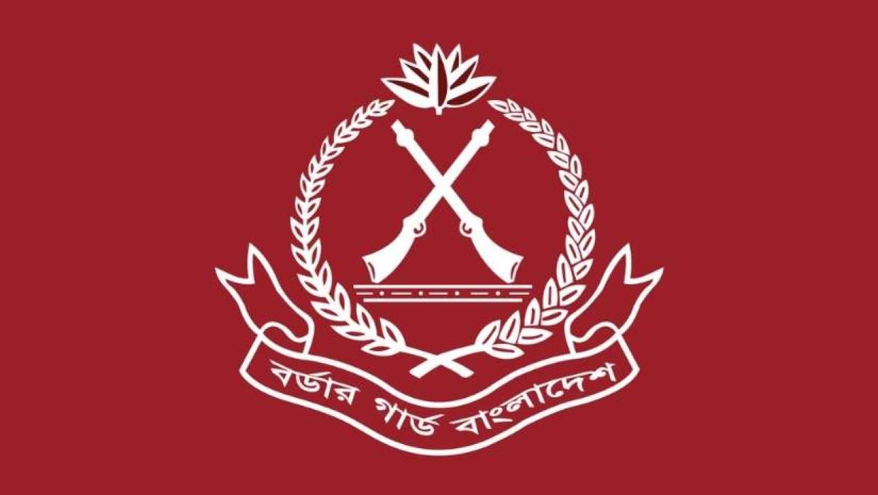  বিজিবি লোগো 