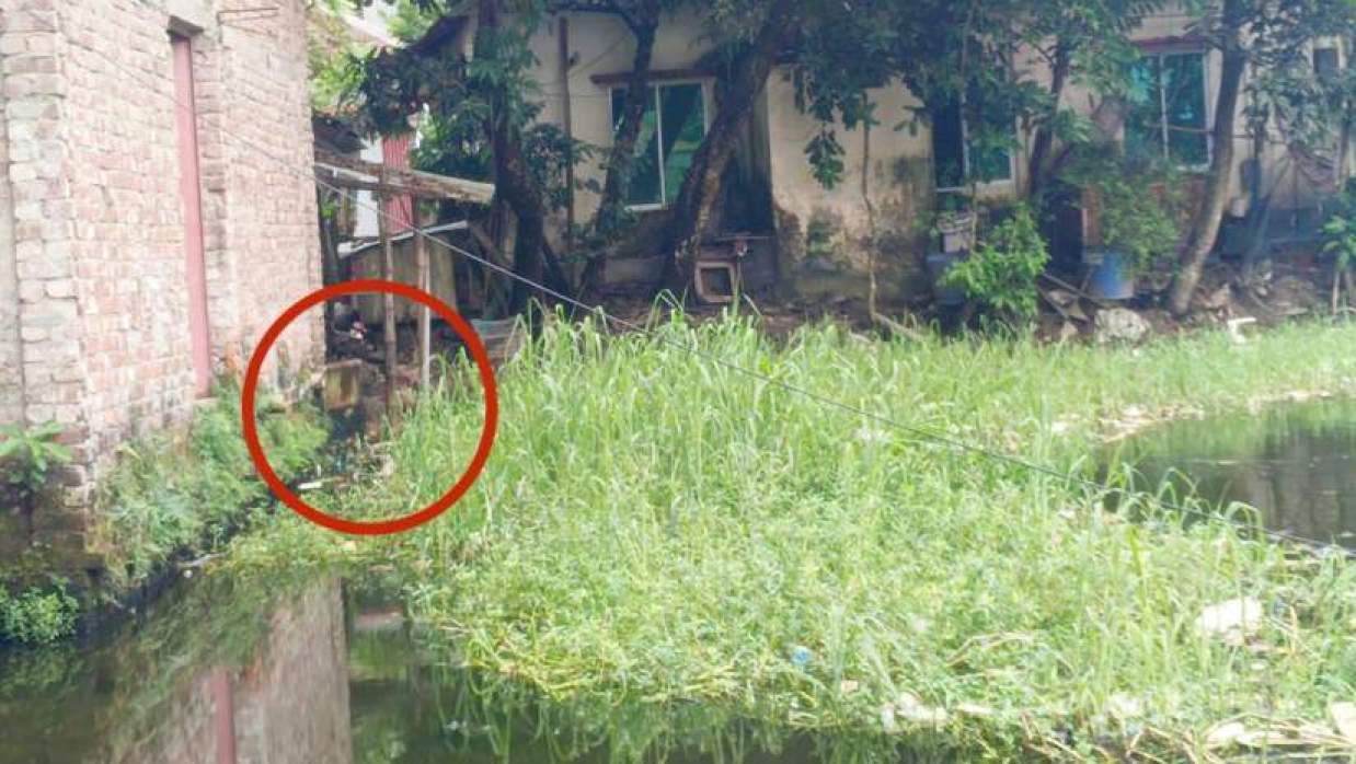 সেফটিক ট্যাংকের লাইন পুকুরে