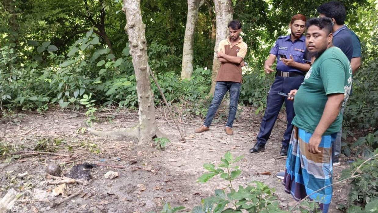 কঙ্কাল উদ্ধার
