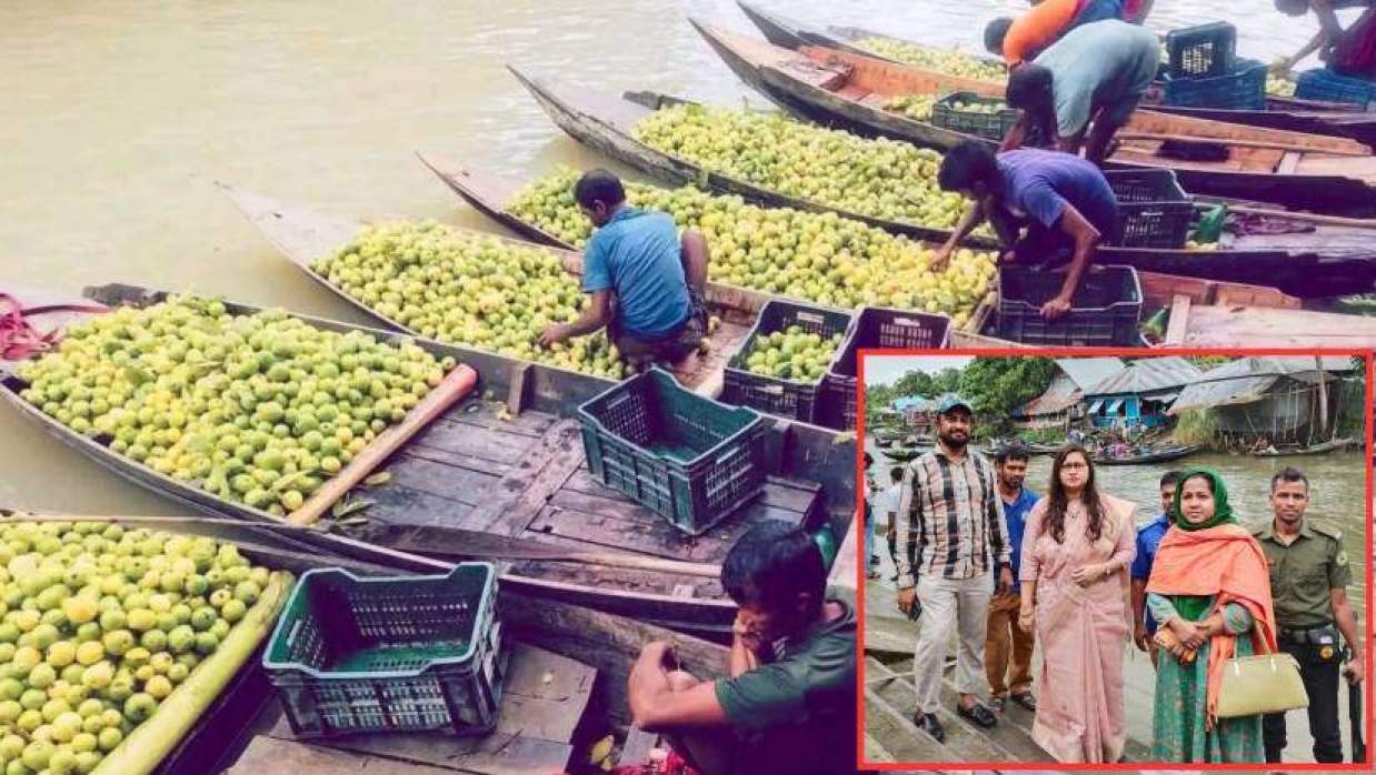 ঝালকাঠির ভিমরুলী ভাসমান পেয়ারা বাজার (ইনসেটে ইউএনও সেগুফতা মেহনাজসহ অন্যরা)