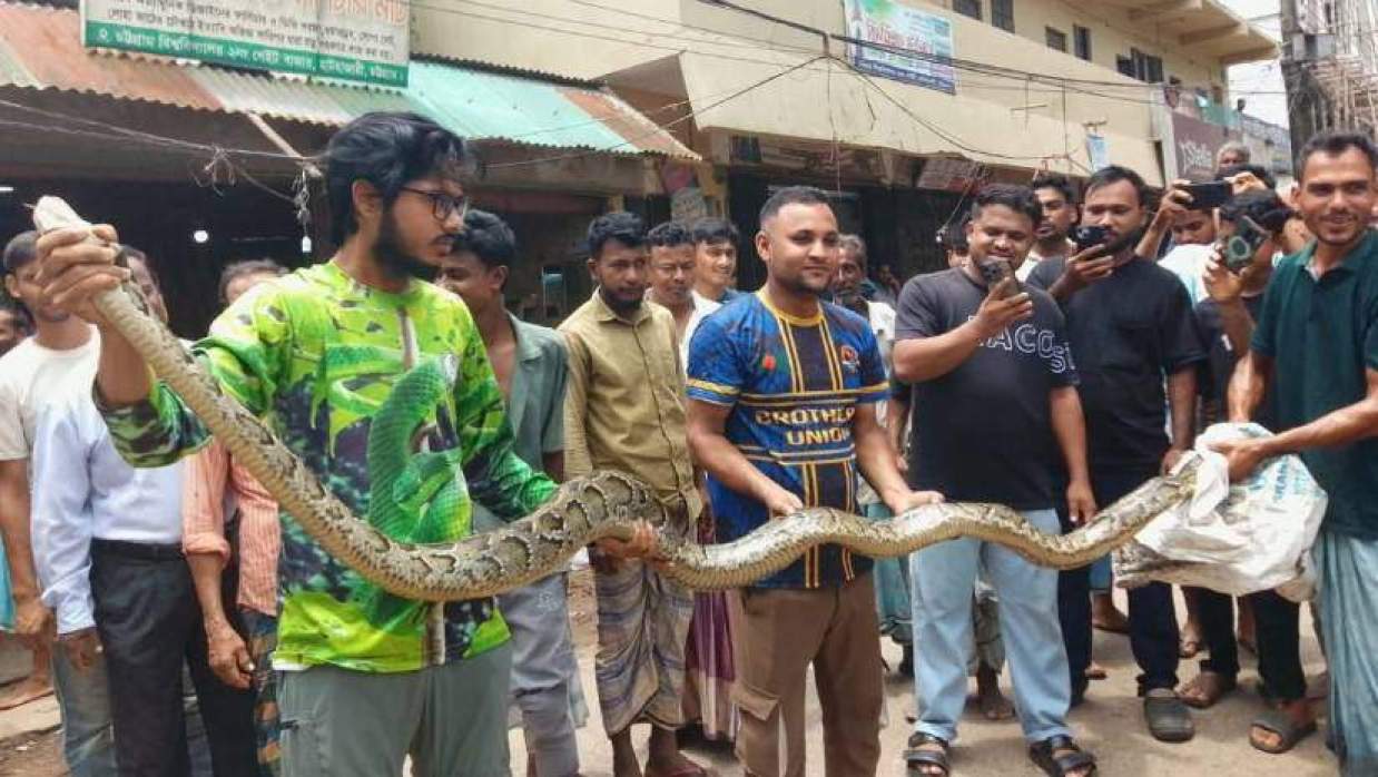 বিশ্ববিদ্যালয়ের ২ নম্বর গেট এলাকার একটি ডোবা থেকে সাপটি উদ্ধার করা হয়