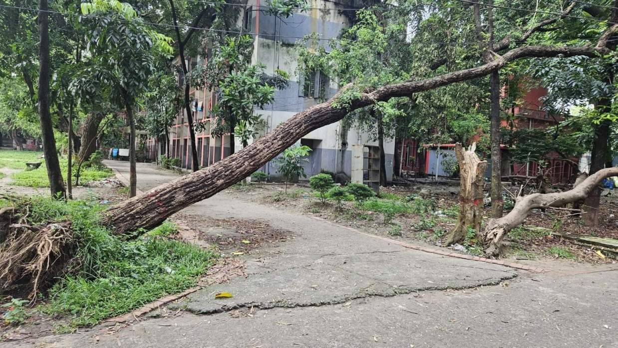 ঢাকা কলেজের শহিদ মো. ফরহাদ হোসেন ছাত্রাবাসের পাশে রাস্তার ওপর হেলে পড়া গাছ