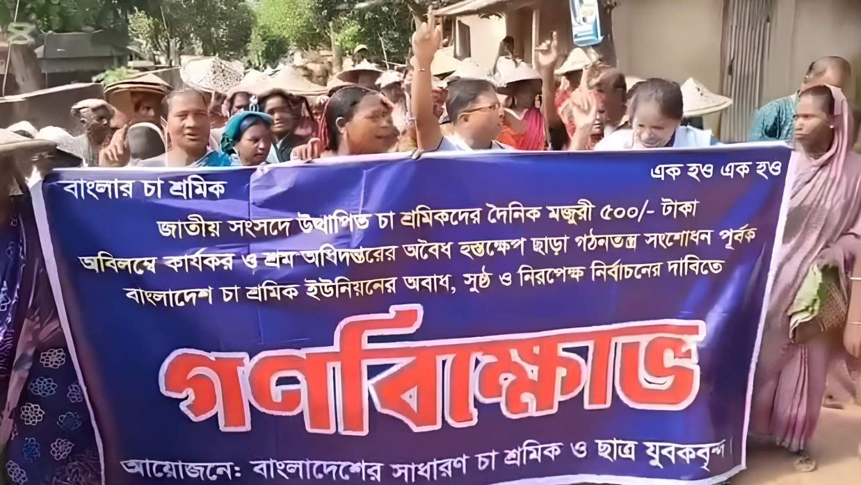 চা-বাগানে বিক্ষোভ করেছেন শ্রমিক, শিক্ষার্থী ও যুবকেরা