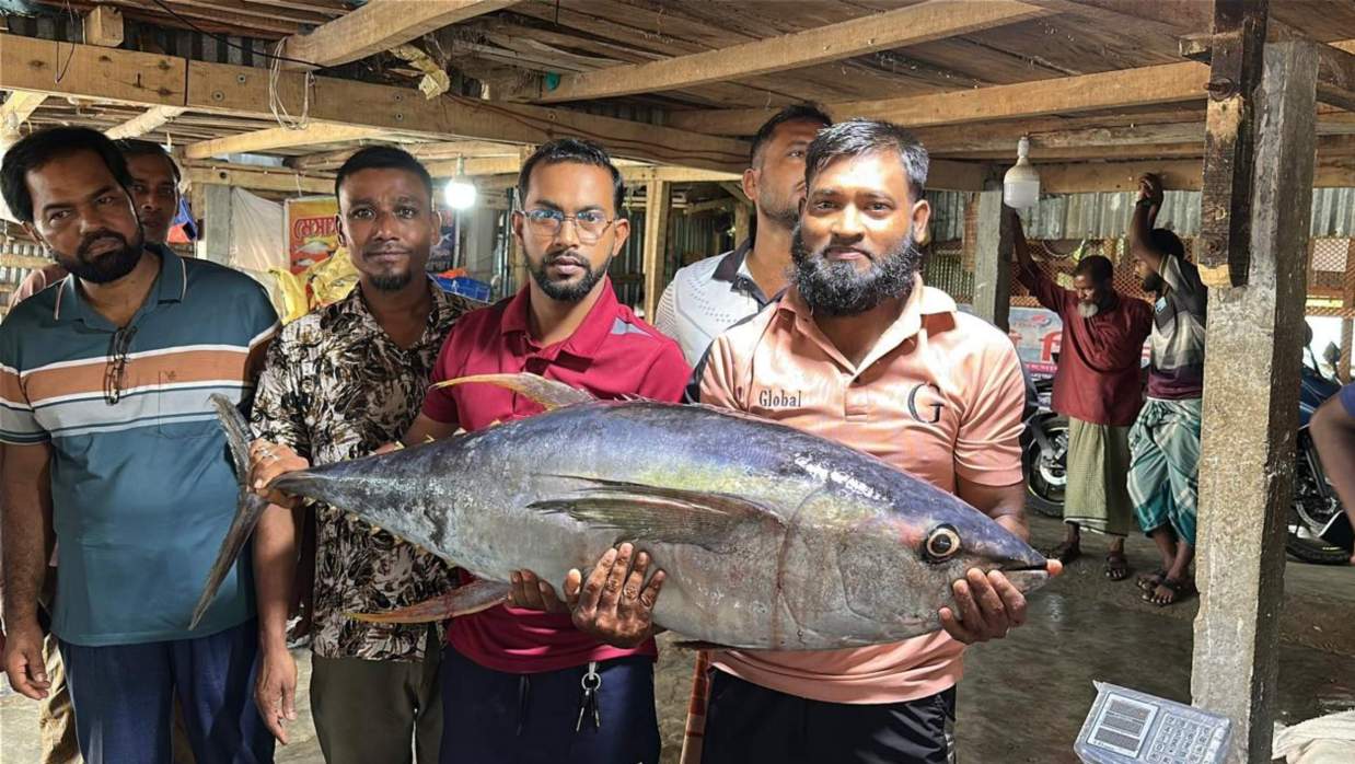 জেলের জালে ধরা পড়েছে বিরল প্রজাতির একটি ‘ইয়েলোফিন টুনা’ মাছ