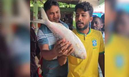 জেলের জালে ধরা পড়া ২ কেজি ১০০ গ্রামের ইলিশ ৬৮২৫ টাকায় বিক্রি