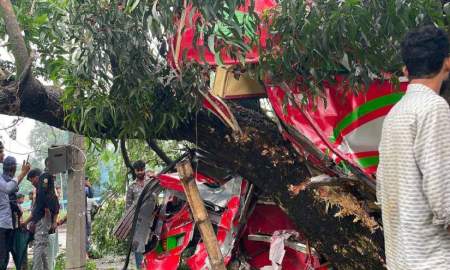 নিয়ন্ত্রণ হারিয়ে গাছের সঙ্গে বাসের ধাক্কা, আহত ১০