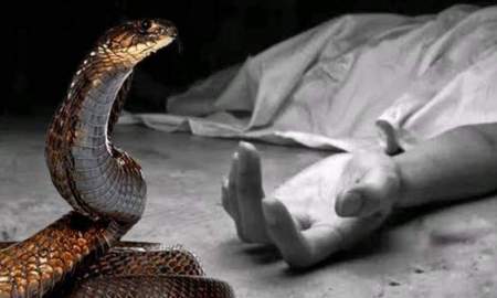 ঝালকাঠিতে সাপের কামড়ে তিন বছরের শিশুর মৃত্যু