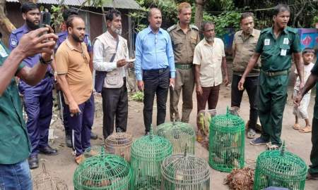 যৌথ অভিযানে উদ্ধার ২৪ বন্যপাখি, প্রাকৃতিক আবাসে অবমুক্ত