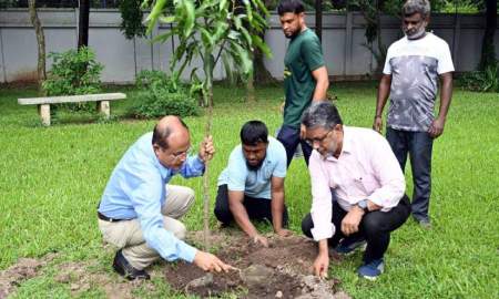 ঢাবি উপাচার্যের বাসভবন প্রাঙ্গণে শতাধিক বৃক্ষ রোপণ