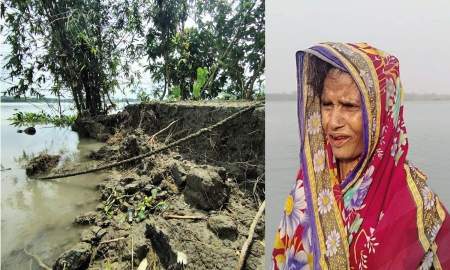 বসতভিটার পর মাকসুদা বেগমের স্বামীর কবরও নদীগর্ভে বিলীন