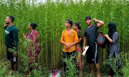 সাঁতার কেটে ৮ জনকে পুশইনের চেষ্টা, ফেরত পাঠালো বিজিবি