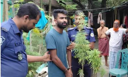 ইয়াবার মামলায় বরখাস্ত কনস্টেবল গাঁজা চাষে গ্রেপ্তার