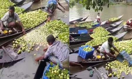 প্রশাসনের নির্দেশনা উপেক্ষা, ভিমরুলী পেয়ারাবাগানে একের পর এক দুর্ঘটনায় কঠোর পদক্ষেপের দাবি এলাকাবাসীর