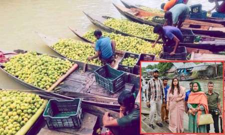 ঝালকাঠিতে ভাসমান পেয়ারা বাজারে ডিজে-সাউন্ড সিস্টেমে কড়াকড়ি