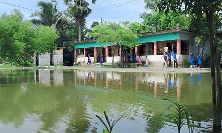 ত্রিশালে ৬ মাস হাঁটু পানিতে ডুবে থাকে সরকারি প্রাথমিক বিদ্যালয়ের মাঠ